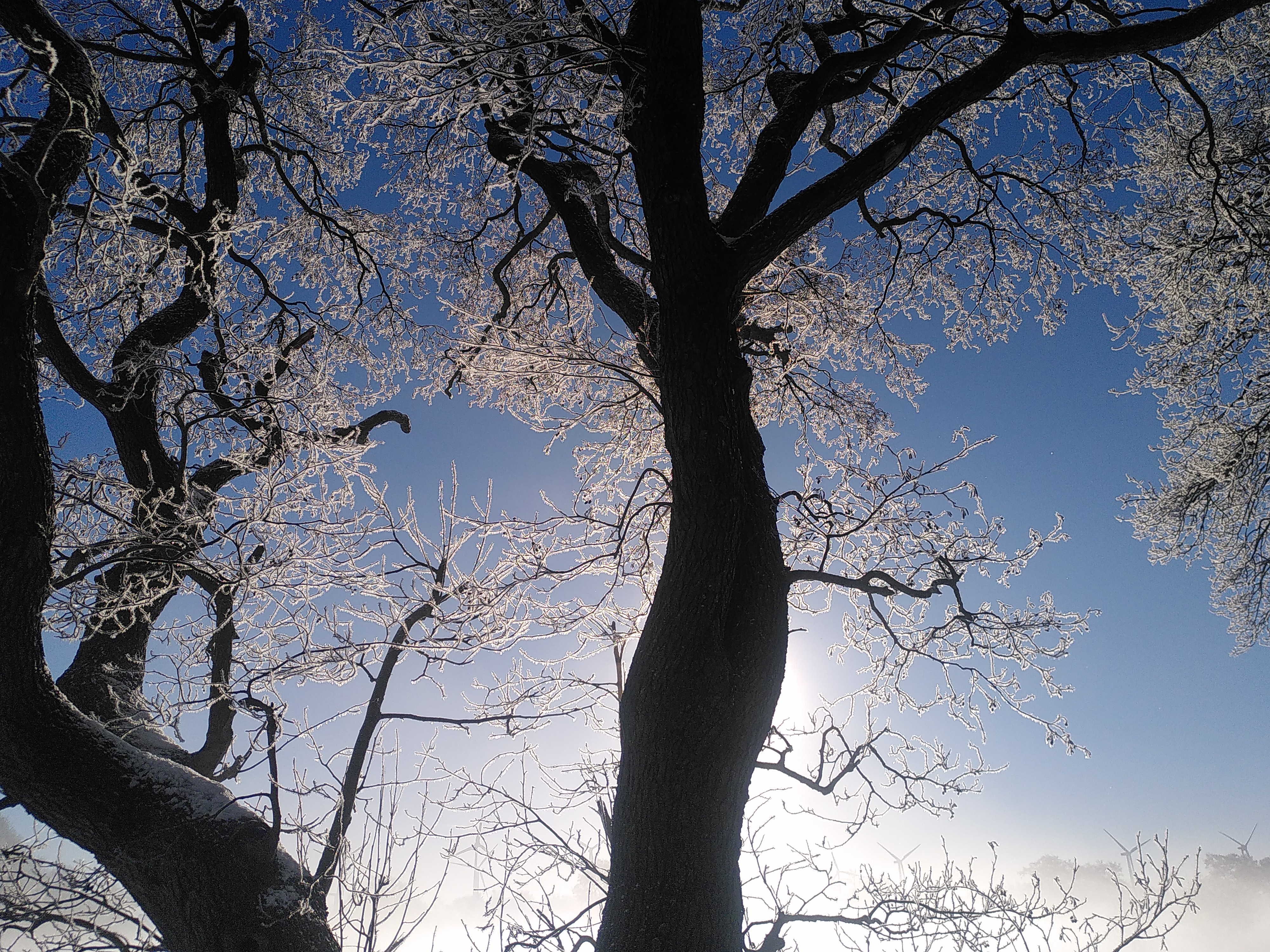 www wunderbares Winter Wetter